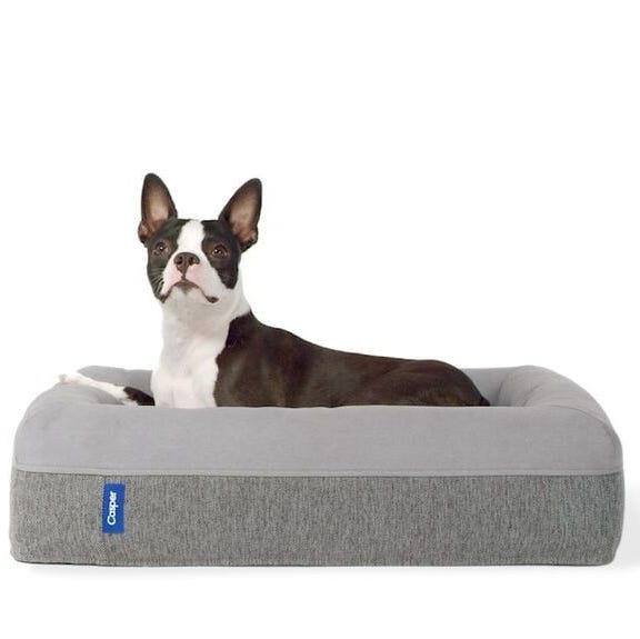 Memory Foam The Dog Bed Memory Foam The Dog Bed