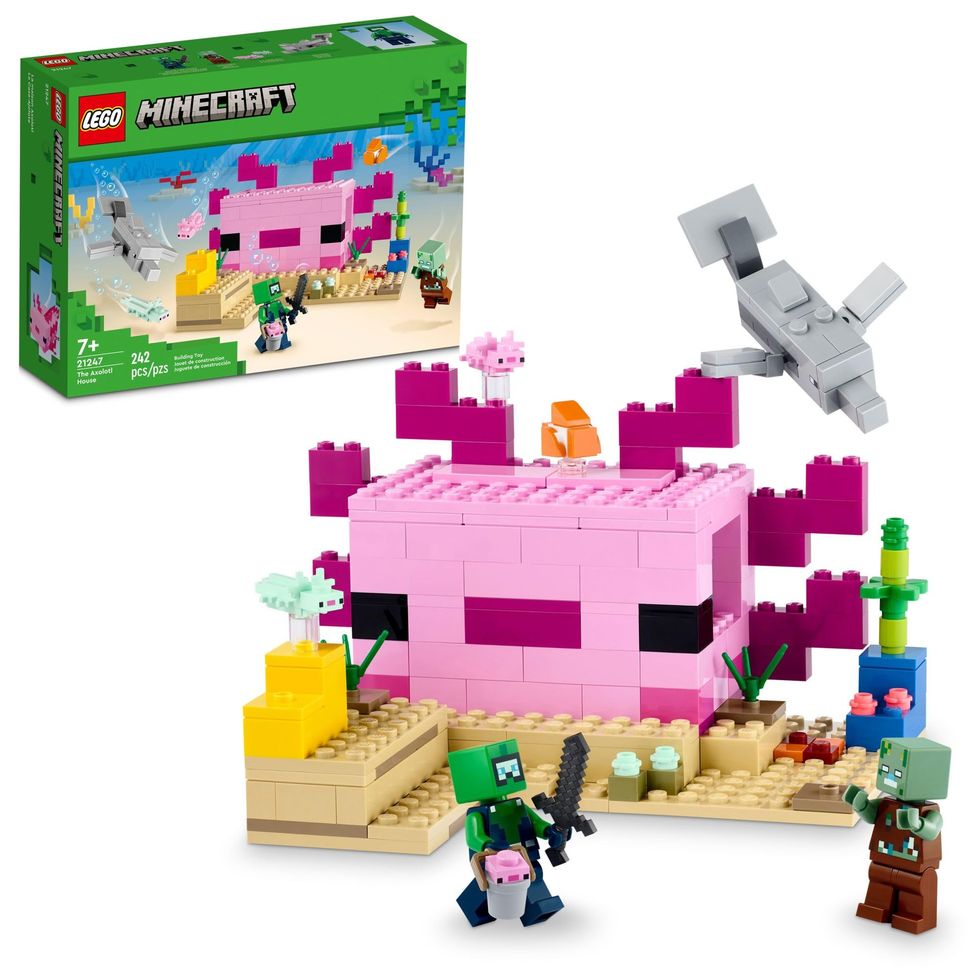 Minecraft Axolotl House