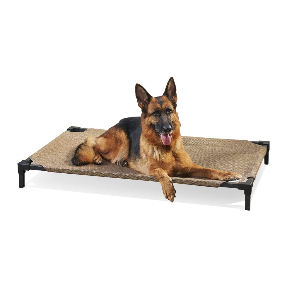 Cooling Elevated Dog Bed 
