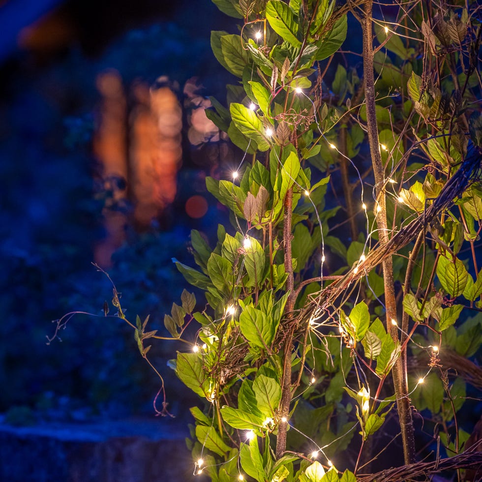 Sarah Raven Solar Raindrop Wire Lights