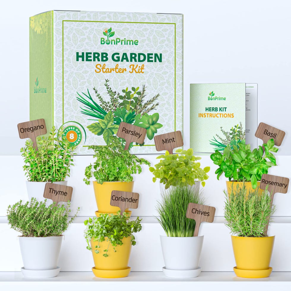 Hierbas aromáticas