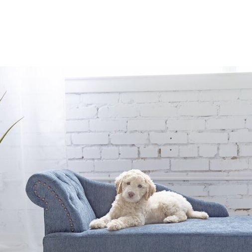 Solana Chaise Furniture Dog Sofa