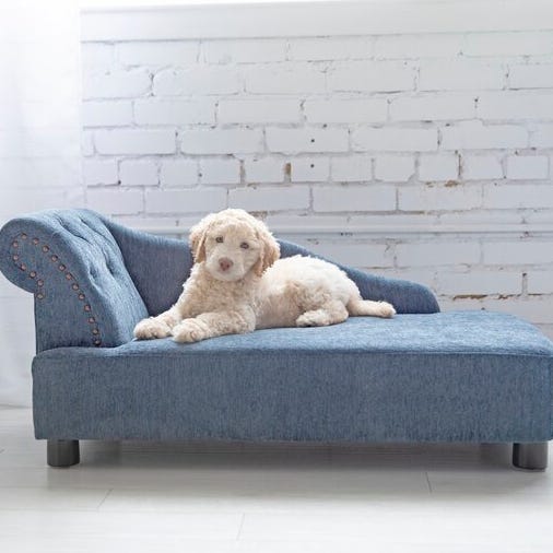 Solana Chaise Furniture Dog Sofa Solana Chaise Furniture Dog Sofa