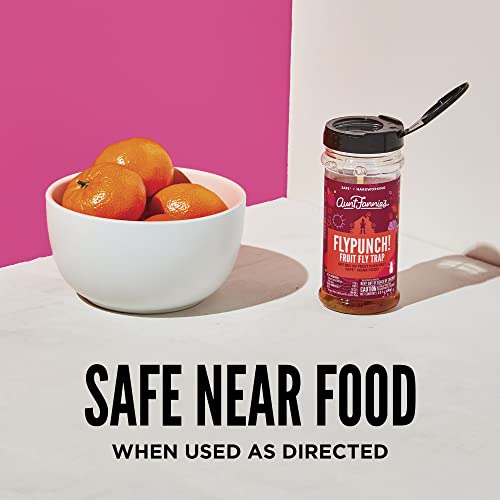 FlyPunch Fruit Fly Trap