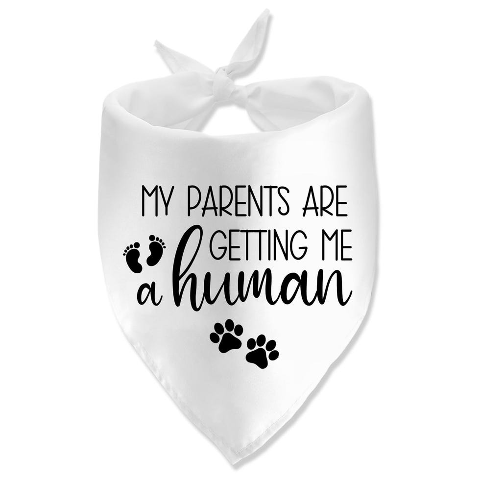"My Parents Are Getting Me a Human" Bandana