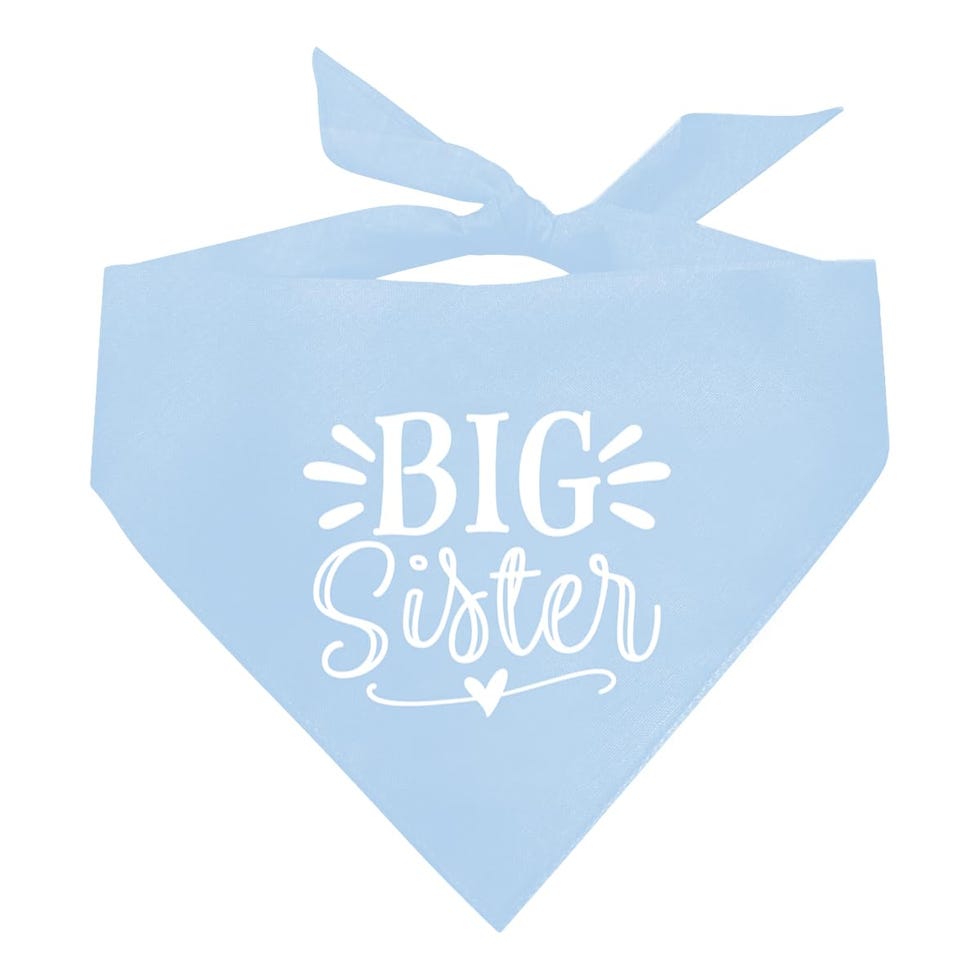 "Big Sister" Dog Bandana