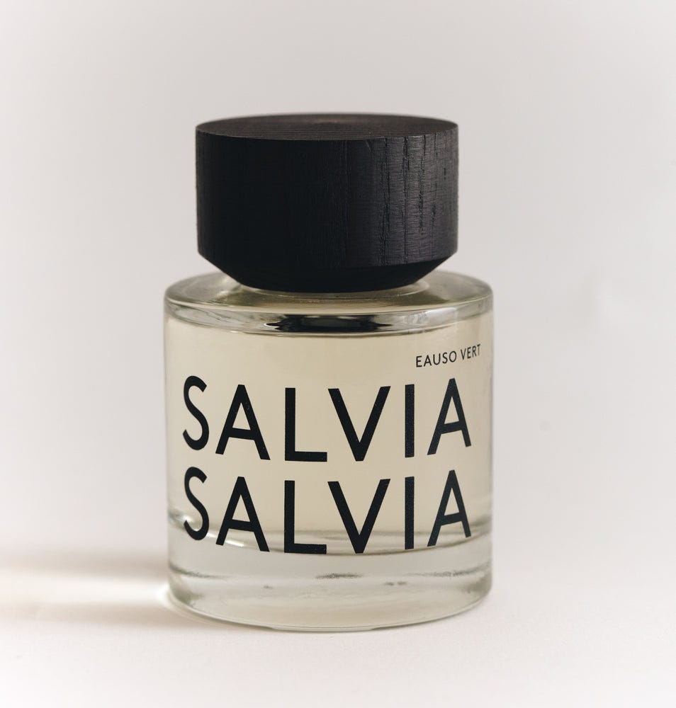 Sálvia sálvia