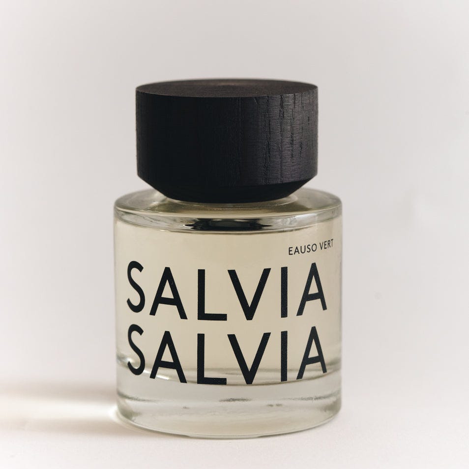 Sálvia sálvia Sálvia sálvia
