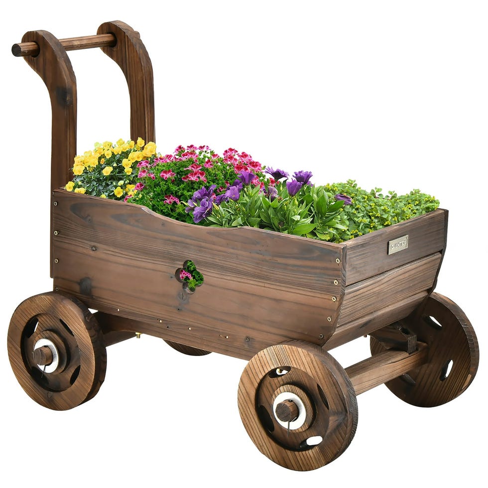 Houseplant Wagon 