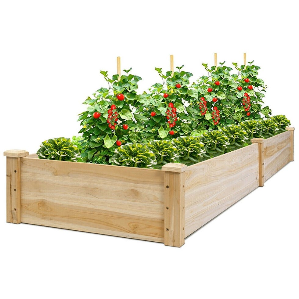 Wooden raised vegetable garden bed