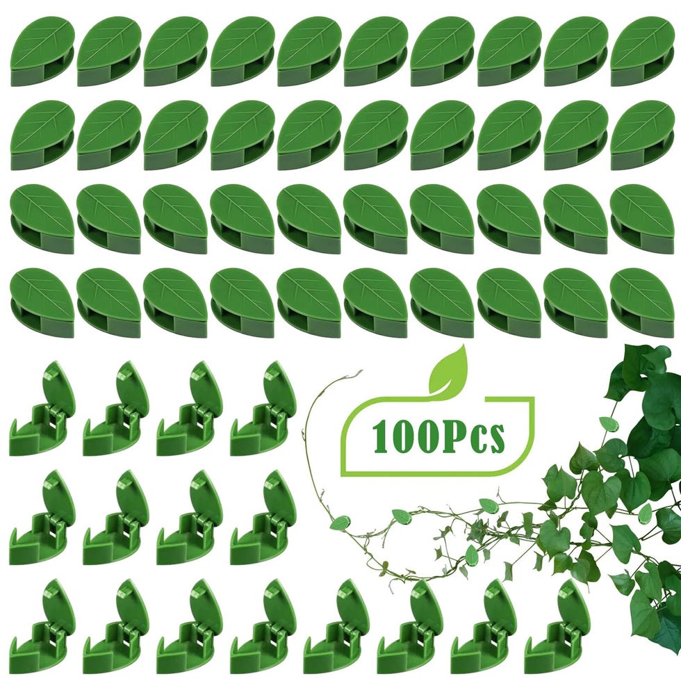 100 Clips para Plantas trepadoras 