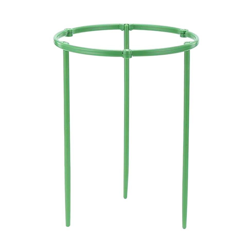 Plant Support Cage for Climbing Plants