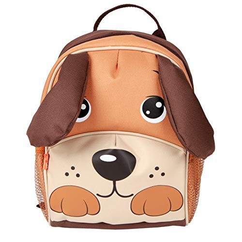 Insulated Backpack with Safety Harness Leash 