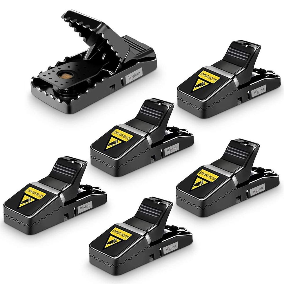 Feeke Mouse Traps (6 Pack) 