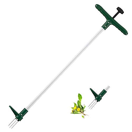 Stand Up Weeder 