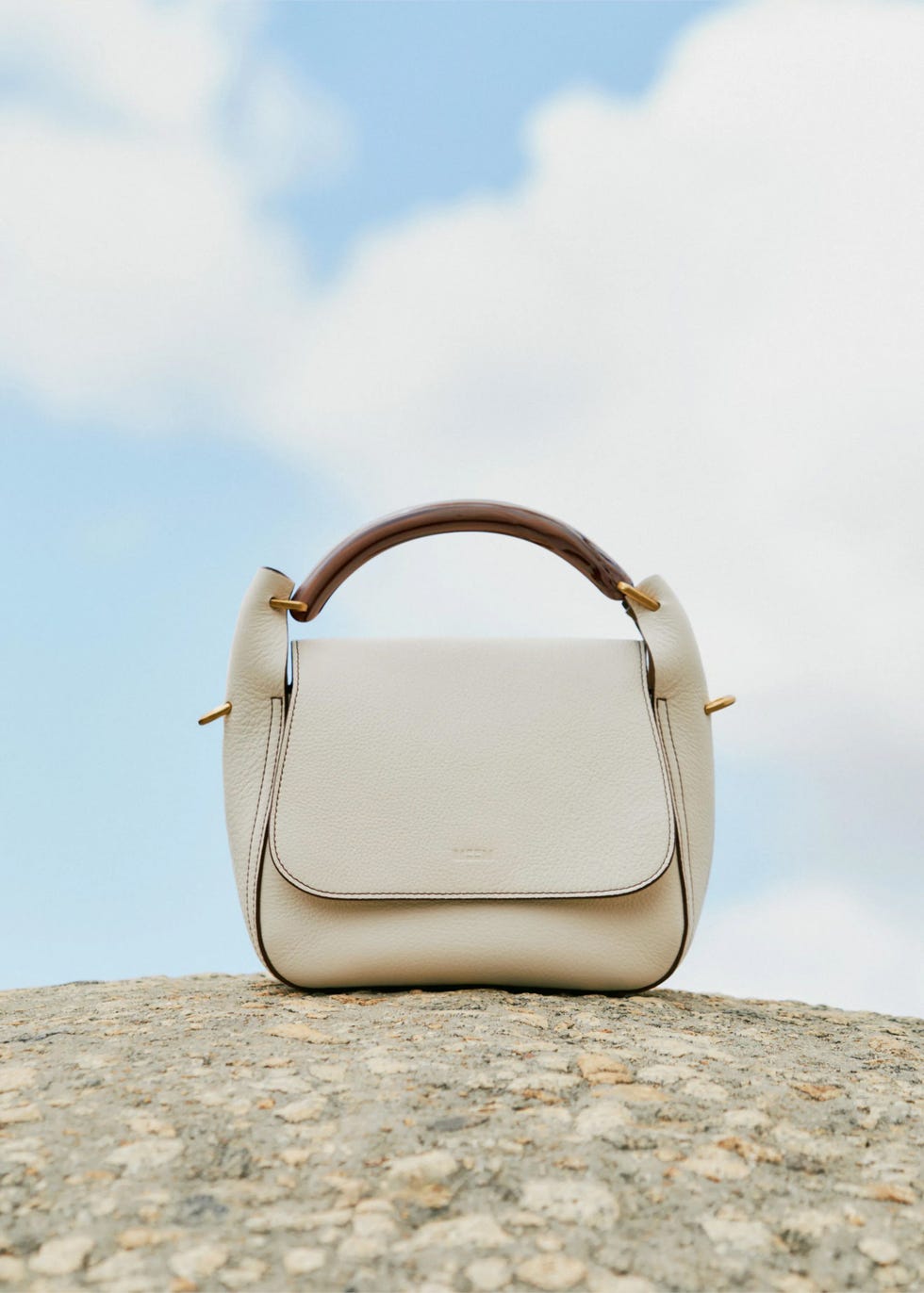 Resin Handle Crossbody Bag