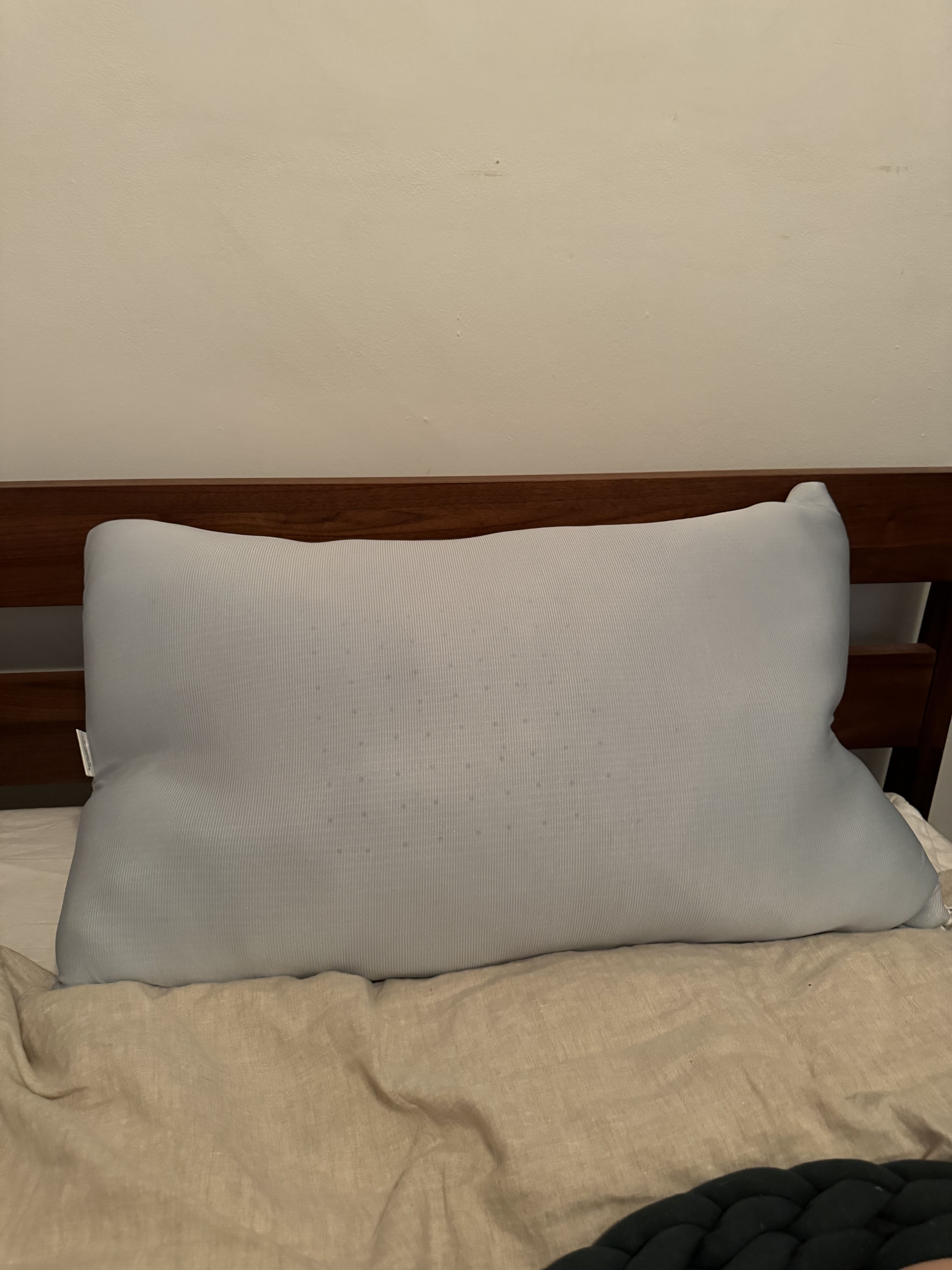 Coldest pillow review best sale