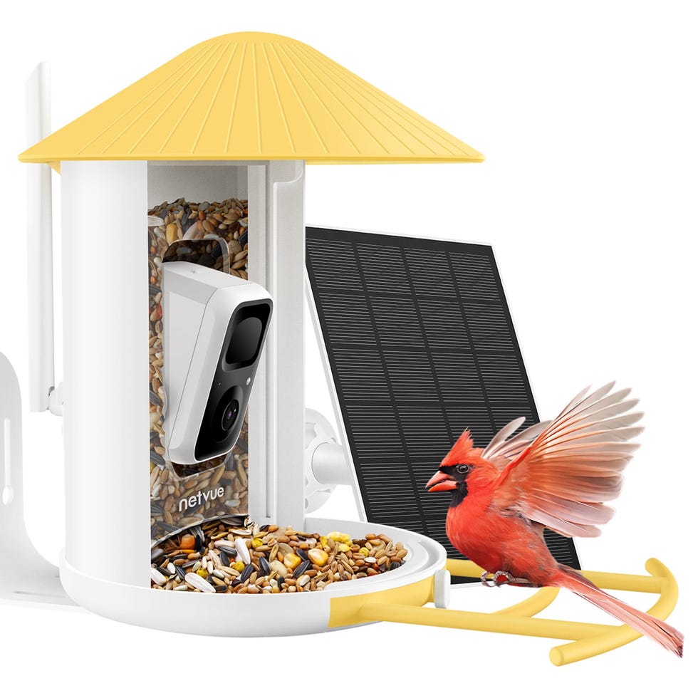 Birdfy Smart Bird Feeder Camera