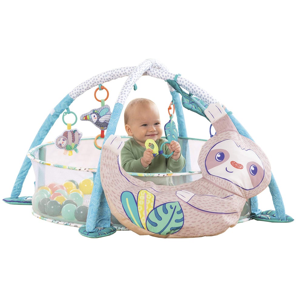 Sloth Play Gym