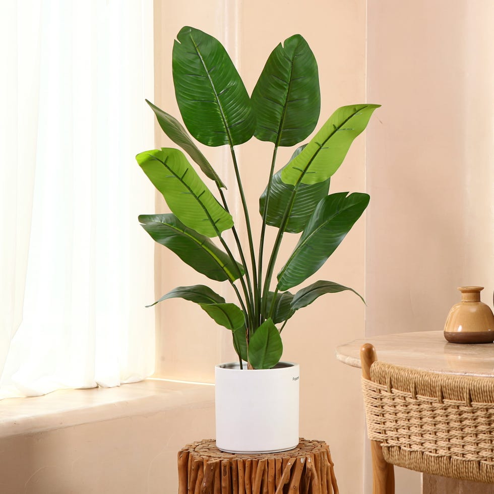 Artificial Bird of Paradise Plant