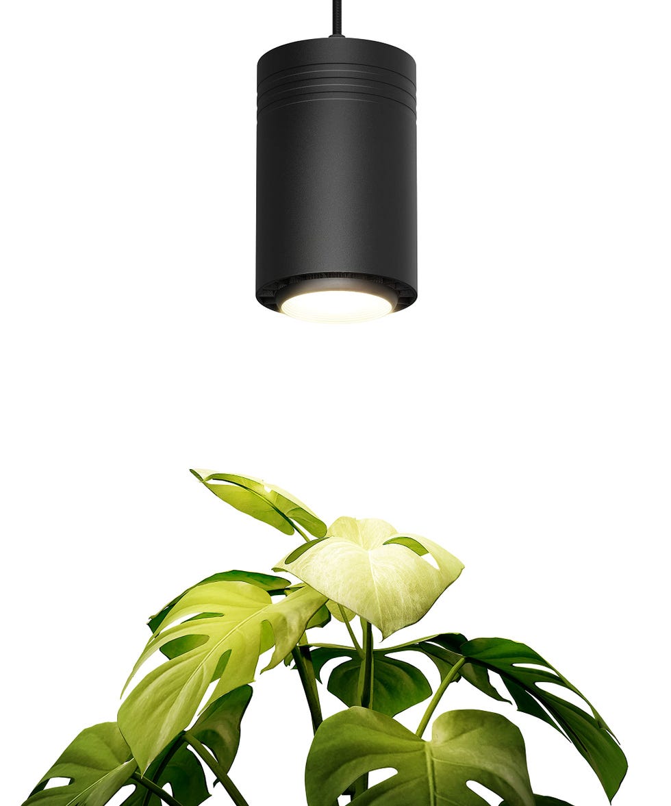 Luxury LED Grow Light