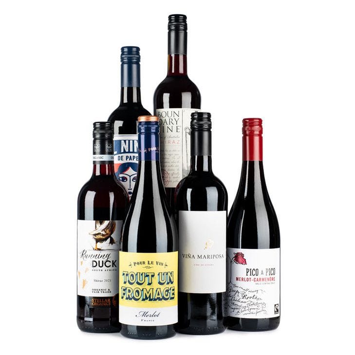 Lifestyle Red Wine Case