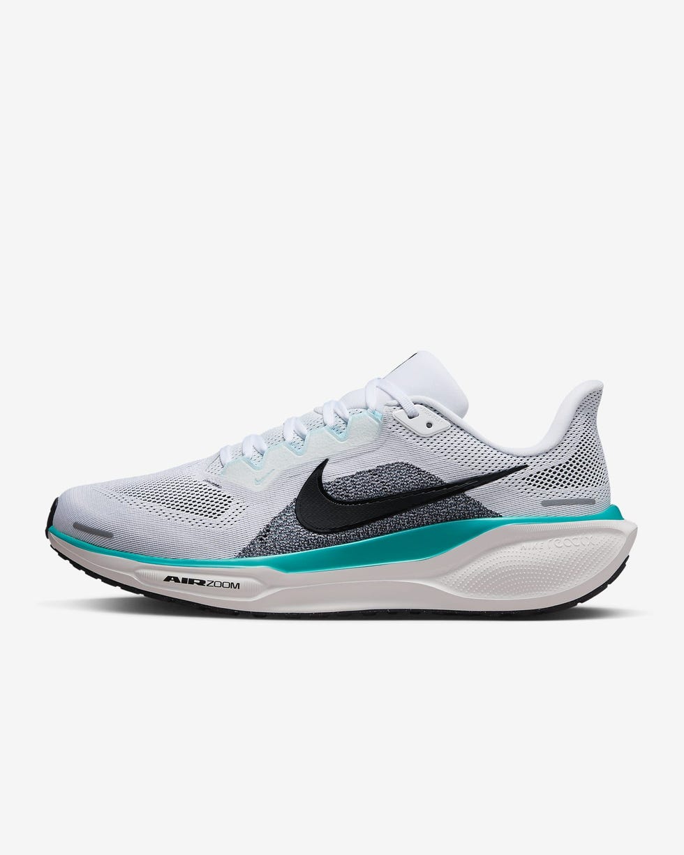 Pegasus 41