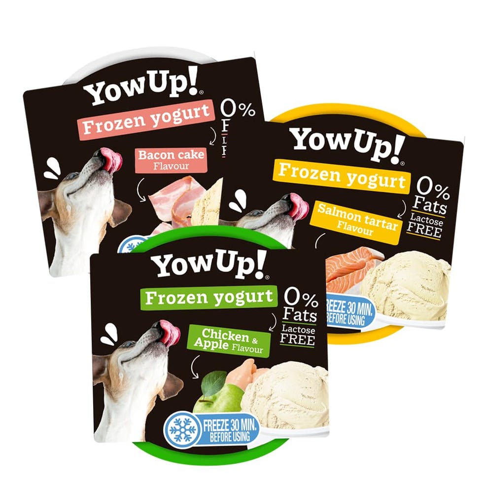 Helado para Perros con Diferentes sabores