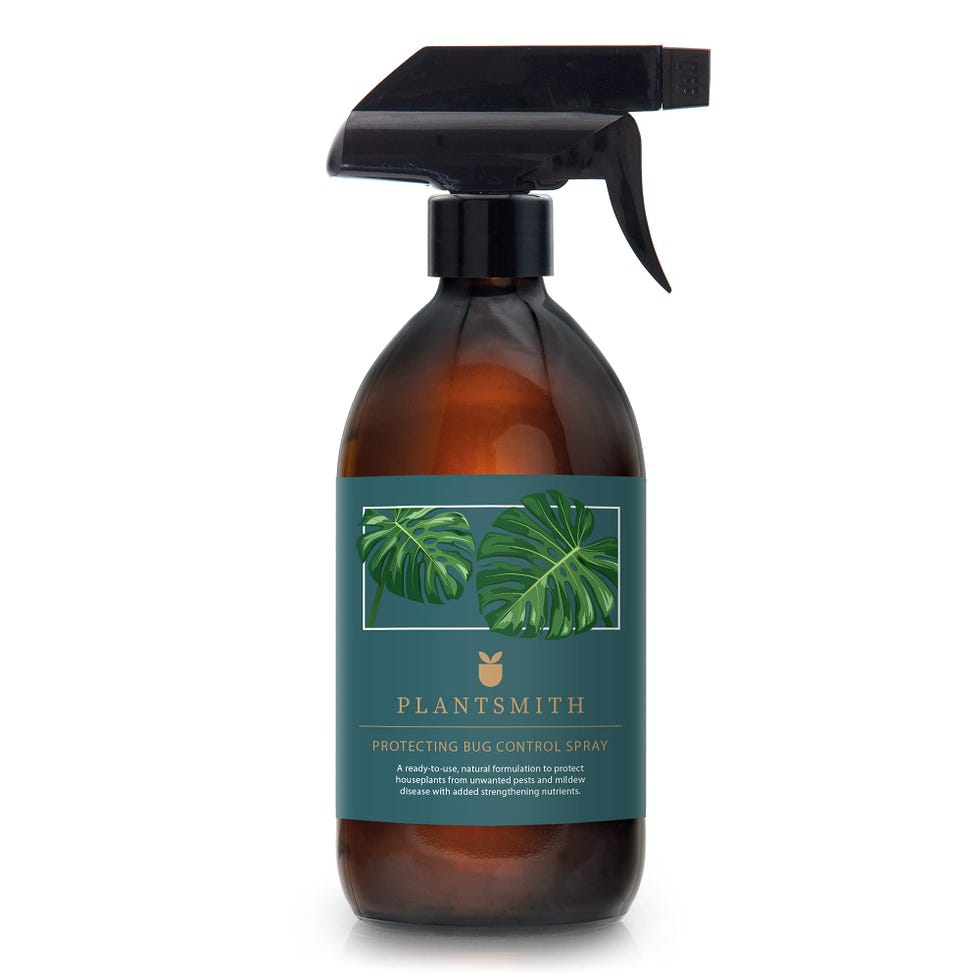 Natural Bug Control Spray for Indoor Plants
