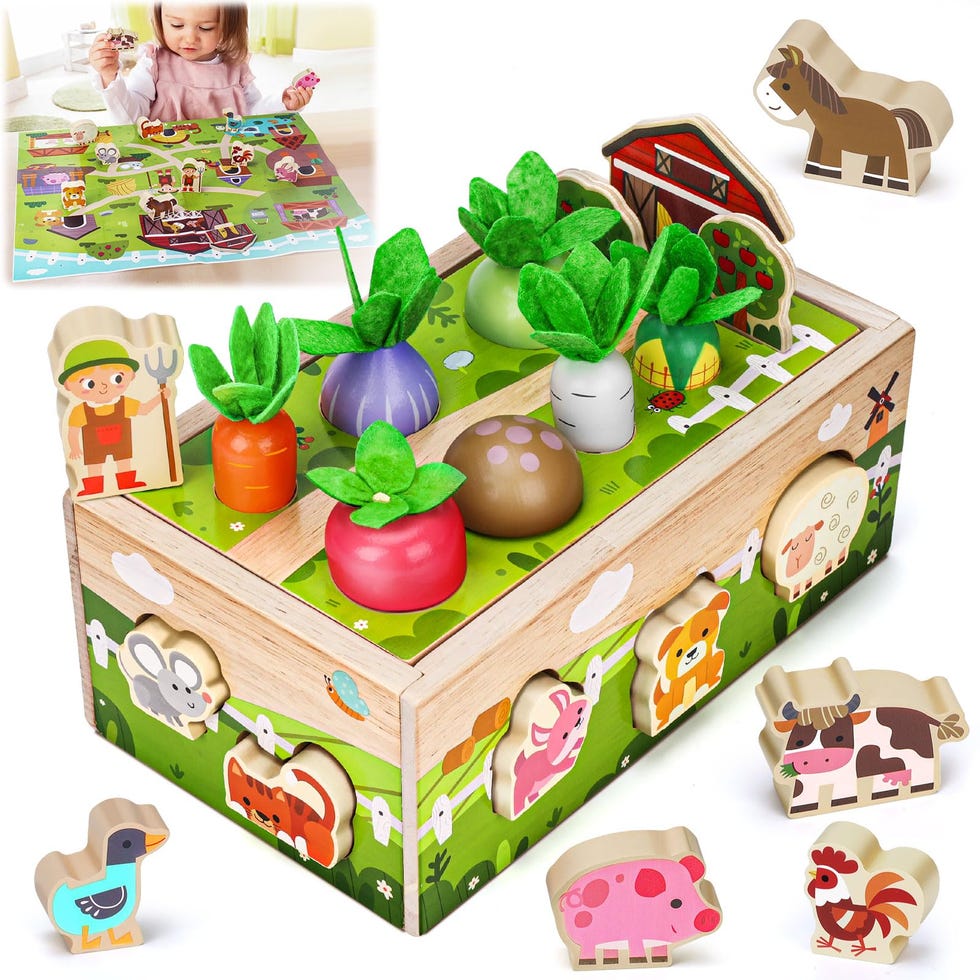 Montessori Wooden Sensory Toddler Toys