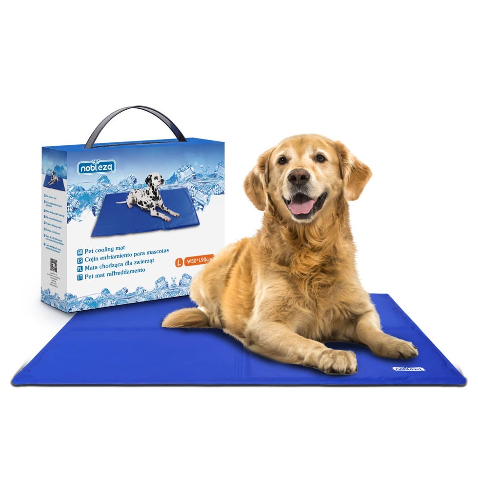 Alfombrilla refrescante para mascotas grandes