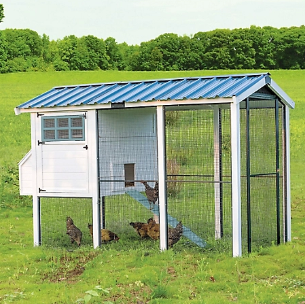 11 Best Chicken Coops To Buy