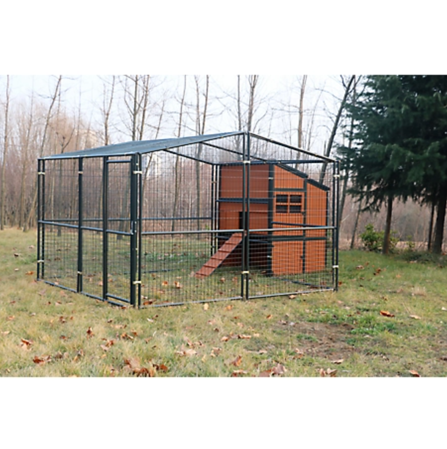 11 Best Chicken Coops To Buy