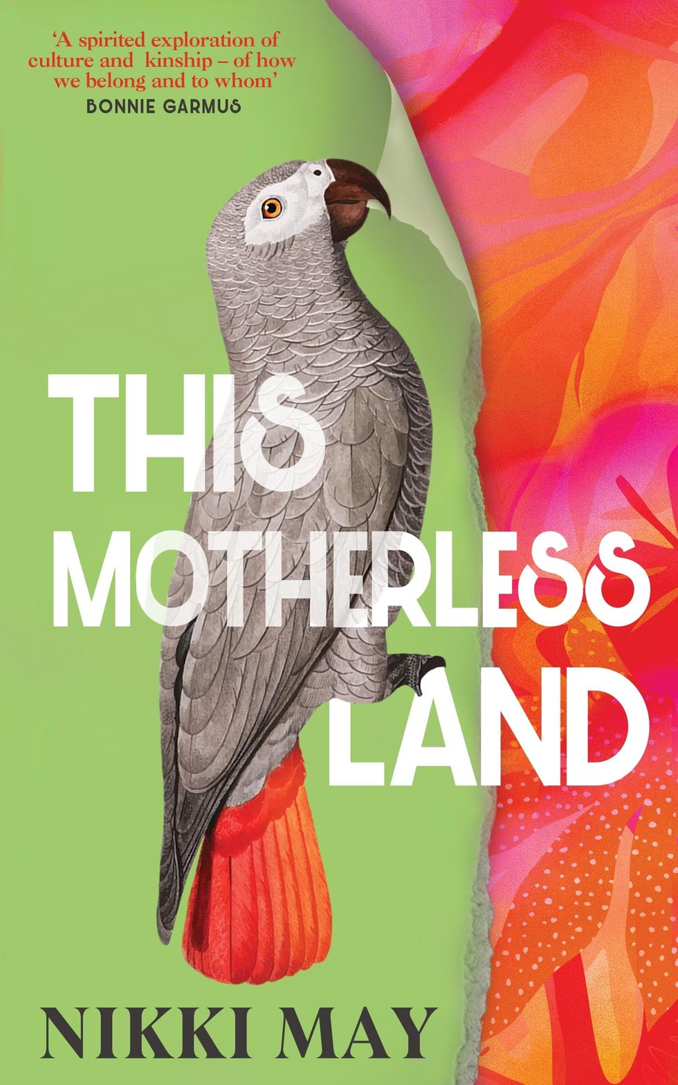 This Motherless Land by Nikki May