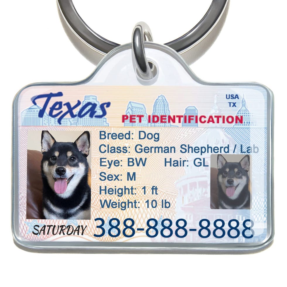 Personalized Pet Driver License ID Tags
