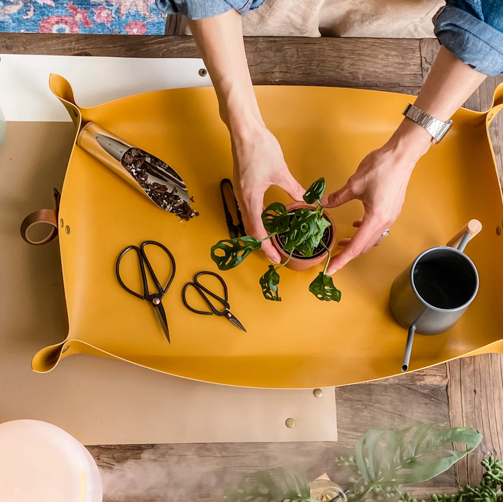 Potting mat for houseplants 