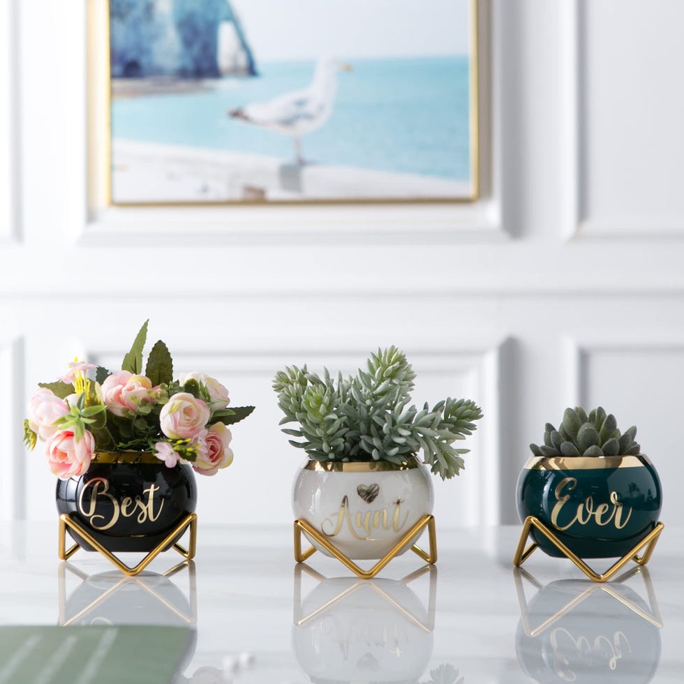 Best Aunt Ever Gifts Succulent Pots