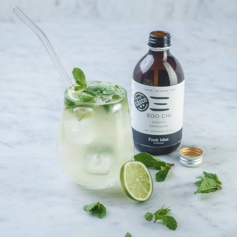 Organic Fresh Mint Kombucha, 12 x 300ml