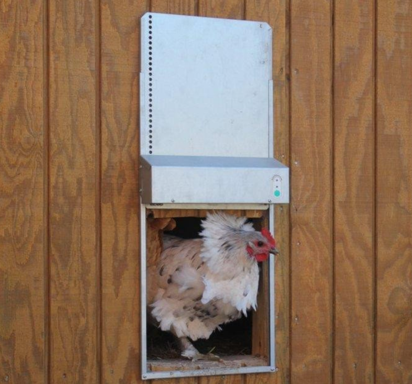 Best Automatic Doors for Your Chicken Coop