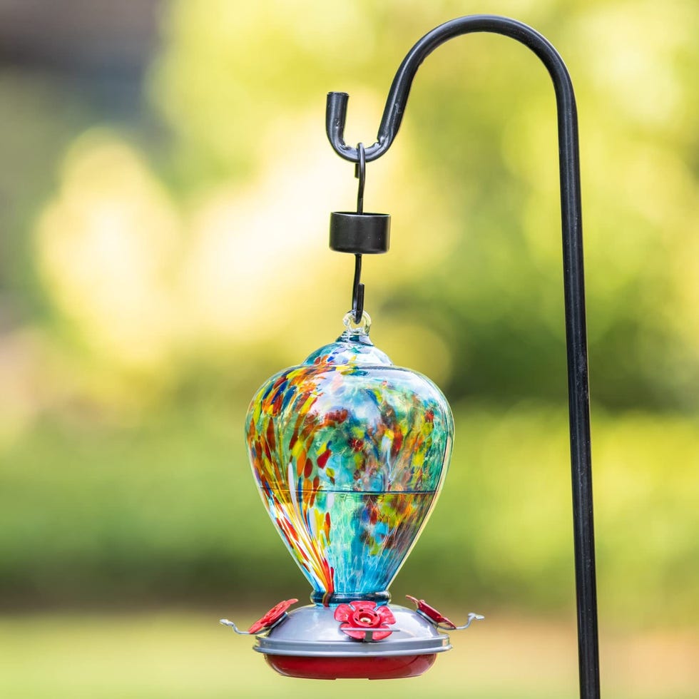 Hummingbird Feeder