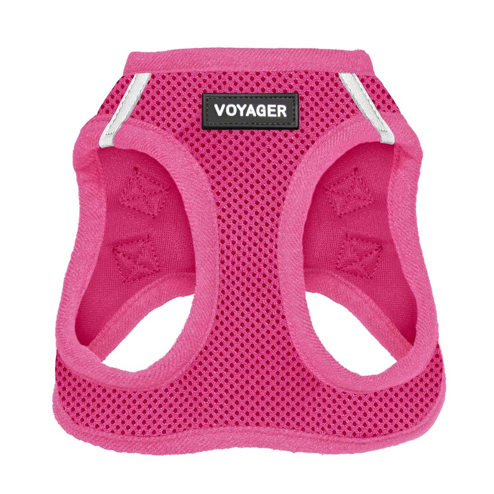 Voyager Step-in Air Dog Harness 