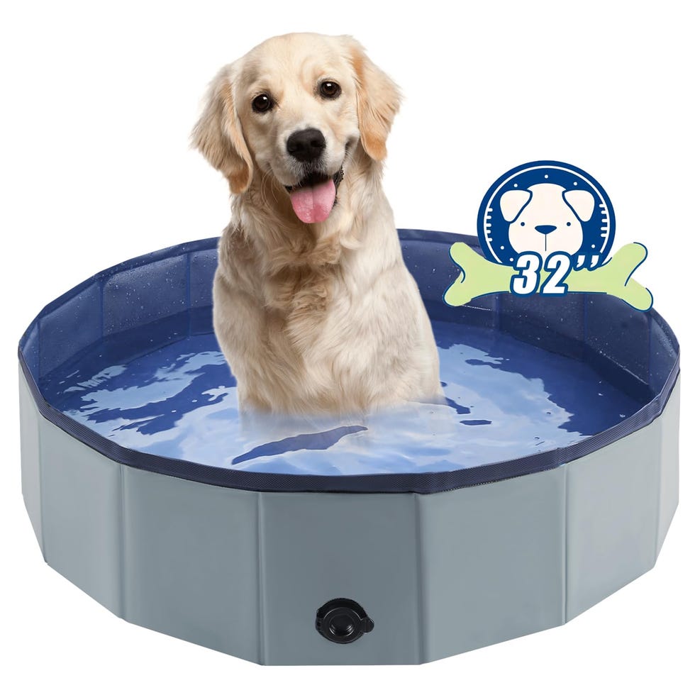 Foldable Dog Bath and Pool 