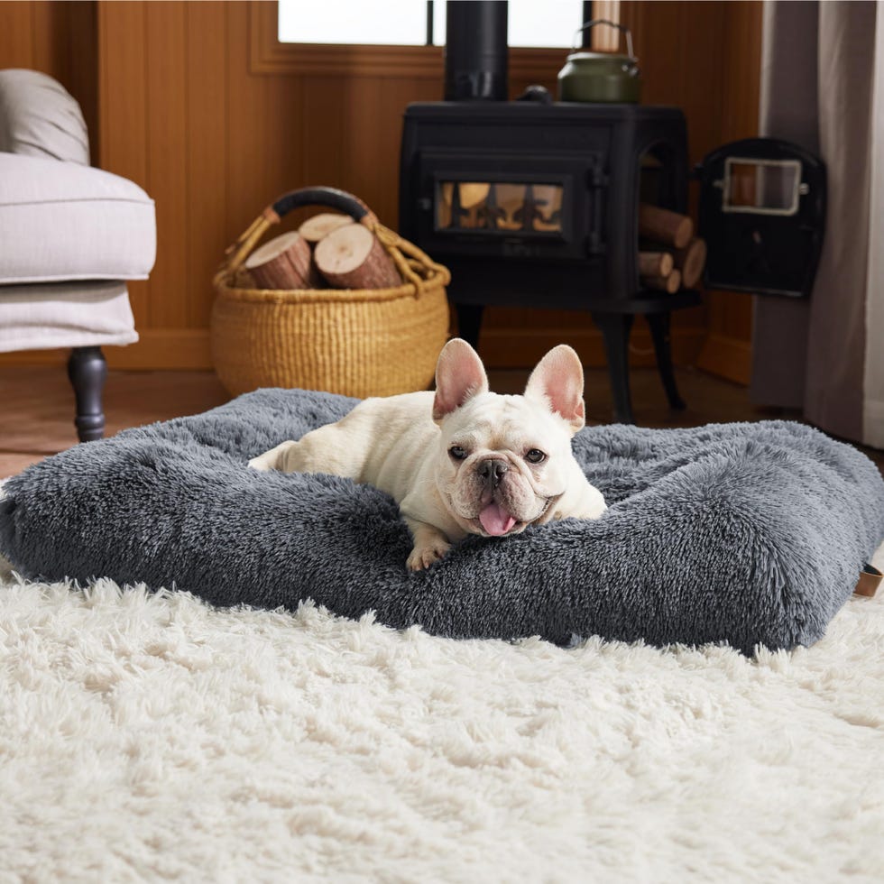 Calming Dog Bed