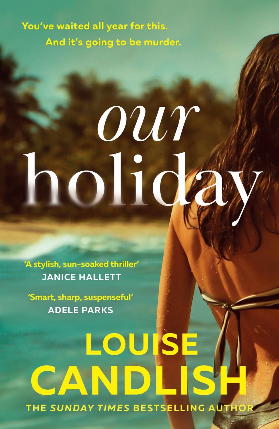 Our Holiday by Louise Candlish