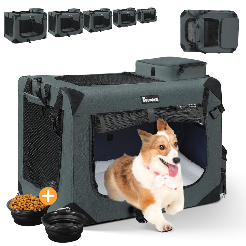 Large Pet Carrier with 2 Bowls