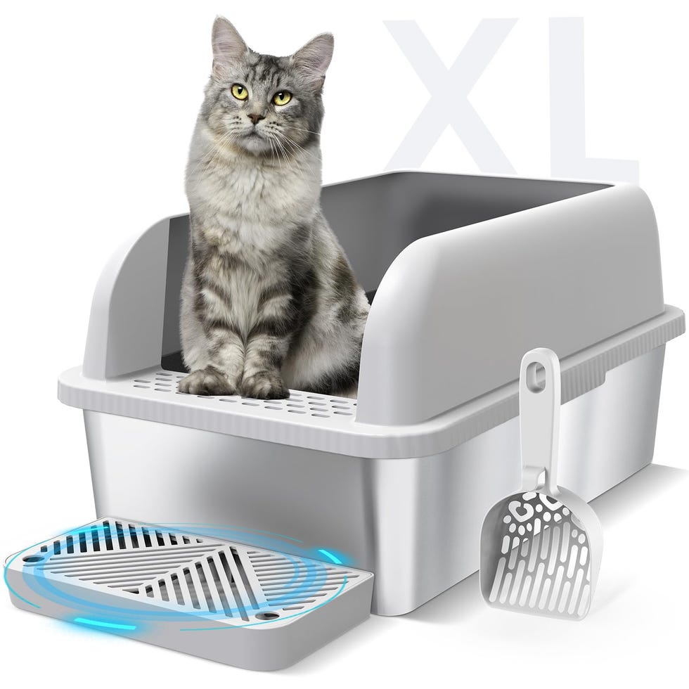 Enclosed Cat Litter Box 