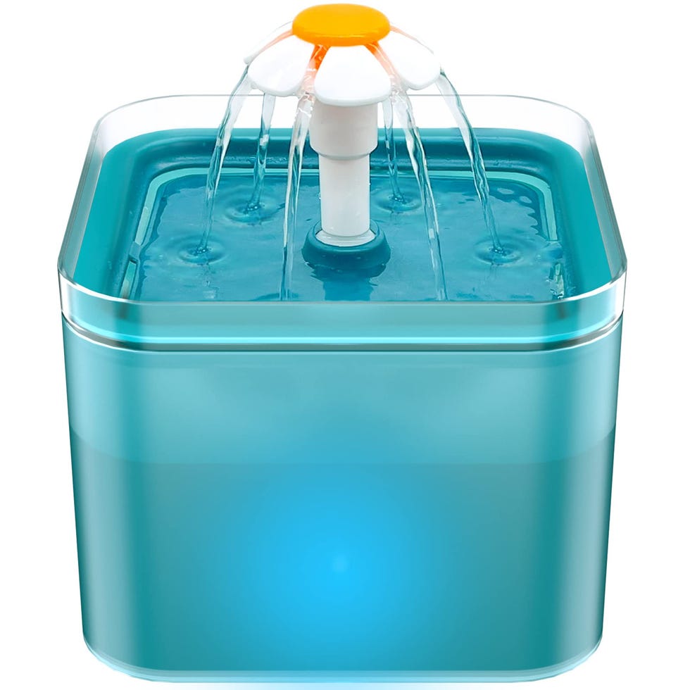 Fuente silenciosa para gatos 2 litros
