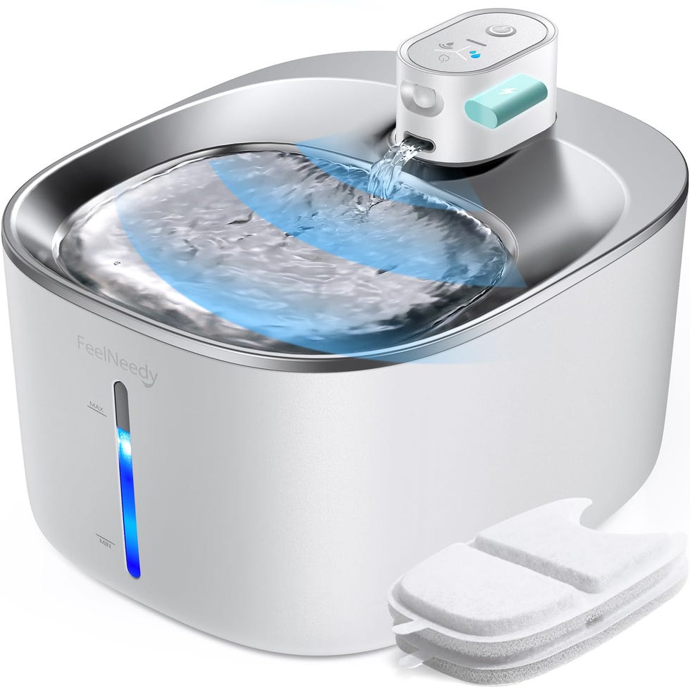 Dispensador con sensor de movimiento