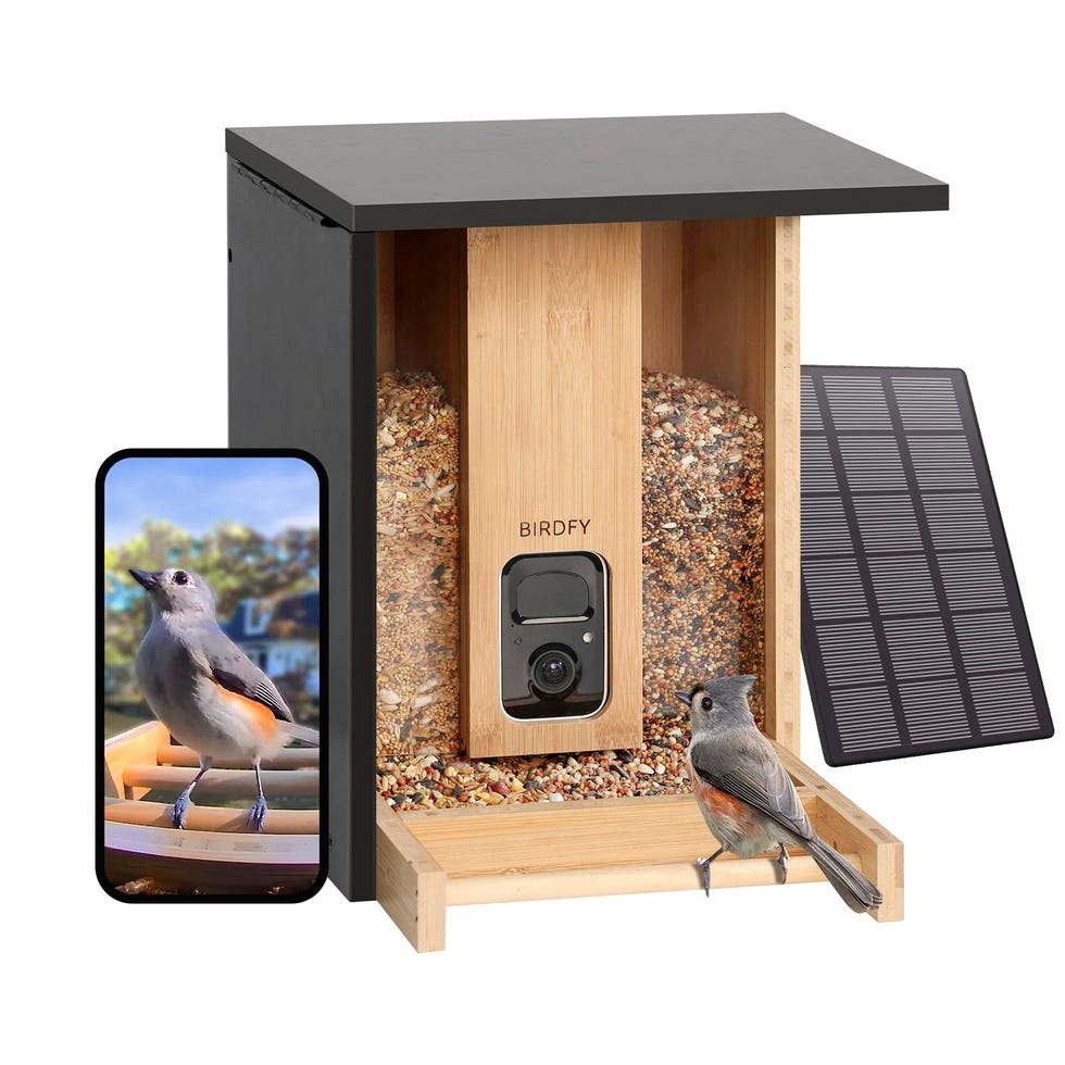 Birdfy Upgraded Smart Bird Feeder