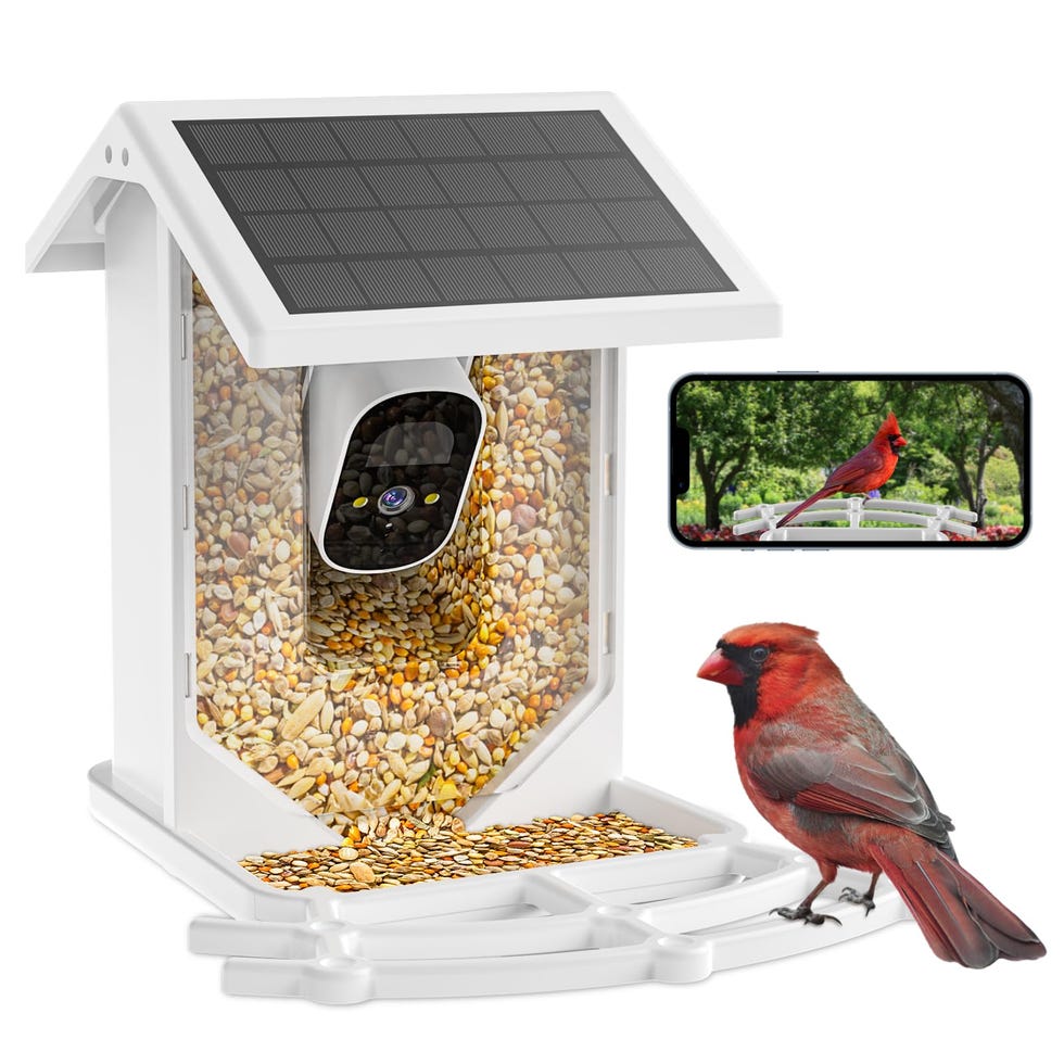 Smart Bird Feeder with Camera